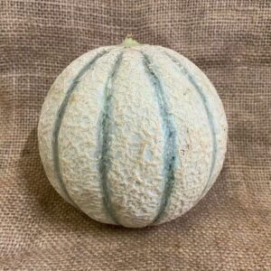 Melon - Cantaloupe