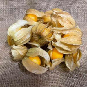 Physallis (Cape Gooseberry)