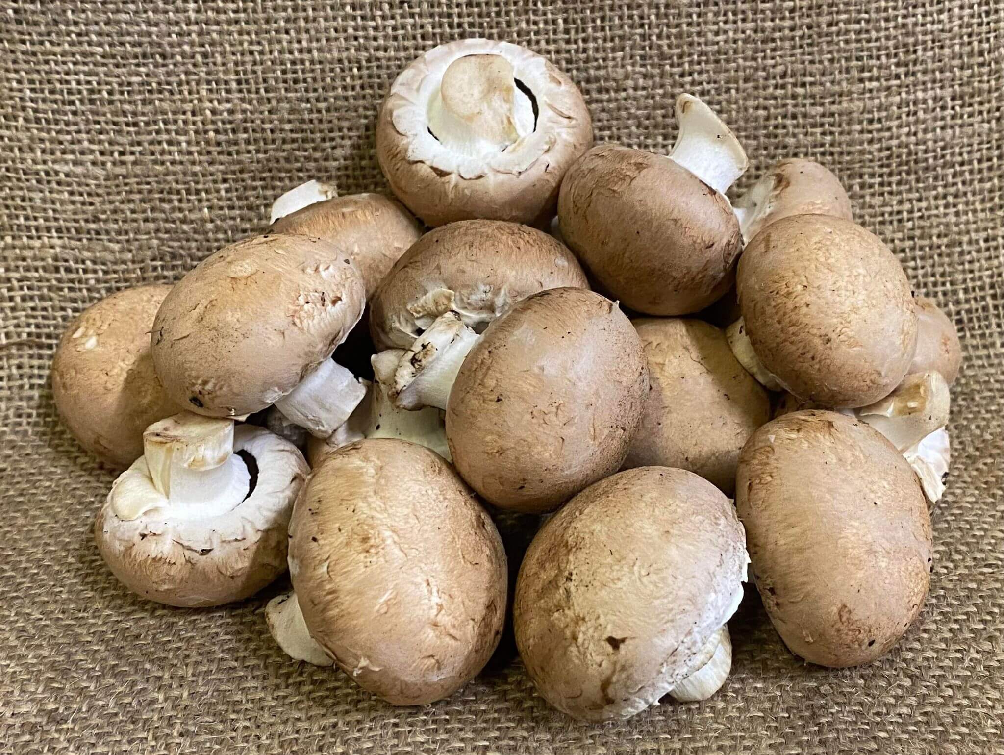 Mushroom - Chestnut 300g