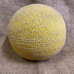 Melon - Galia
