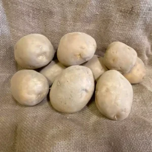 Sagitta potatoes on a hessian background
